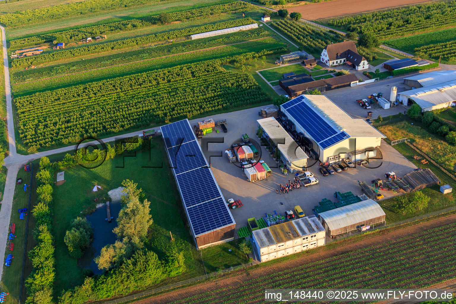 Farmer's Garden in Winden in the state Rhineland-Palatinate, Germany from the drone perspective