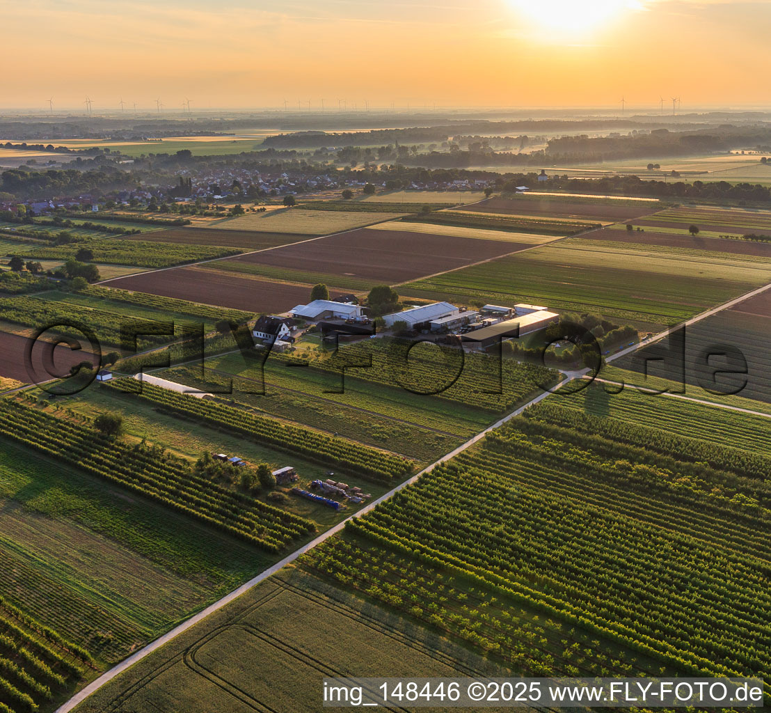 Farmer's Garden in Winden in the state Rhineland-Palatinate, Germany from a drone