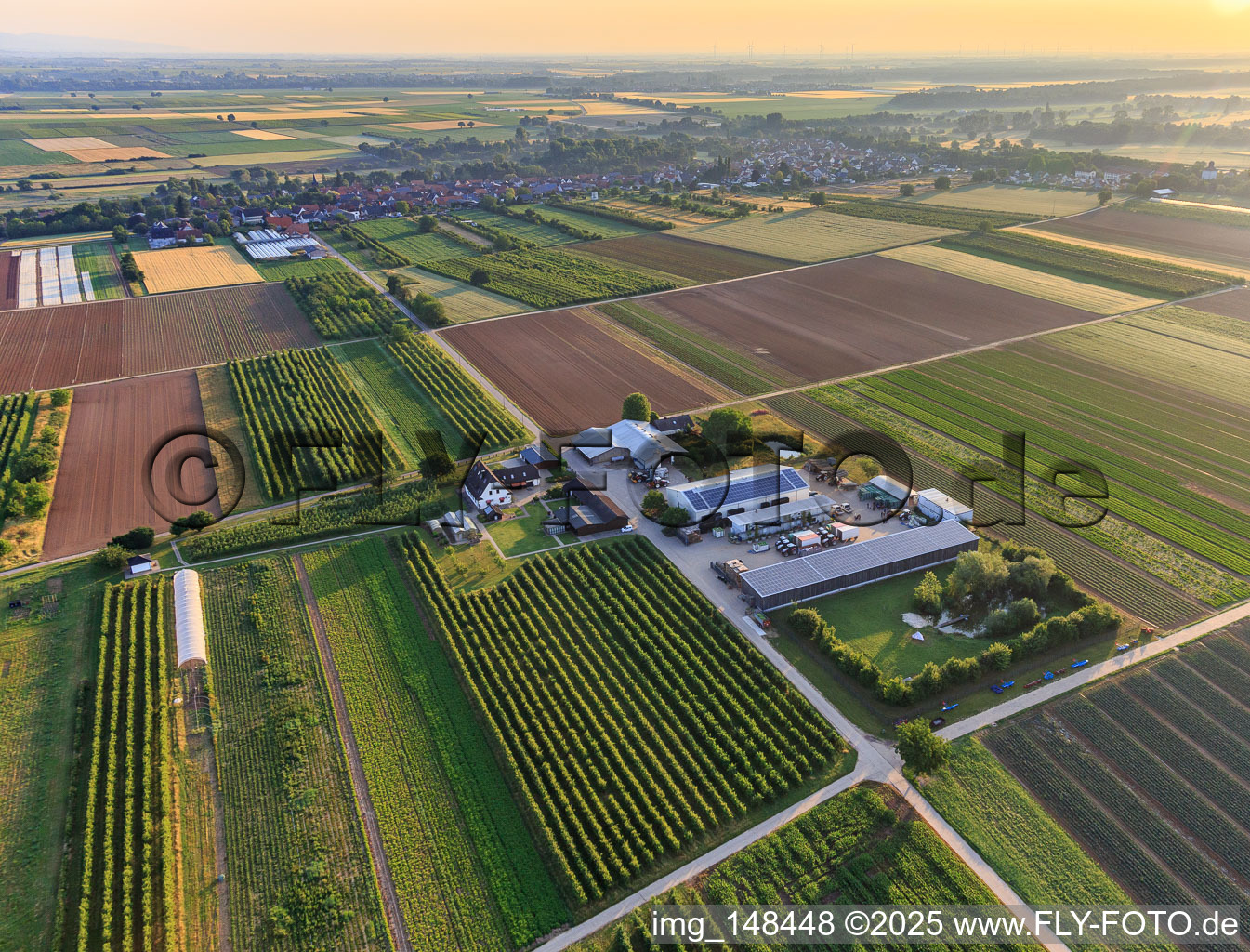 Farmer's Garden in Winden in the state Rhineland-Palatinate, Germany seen from a drone