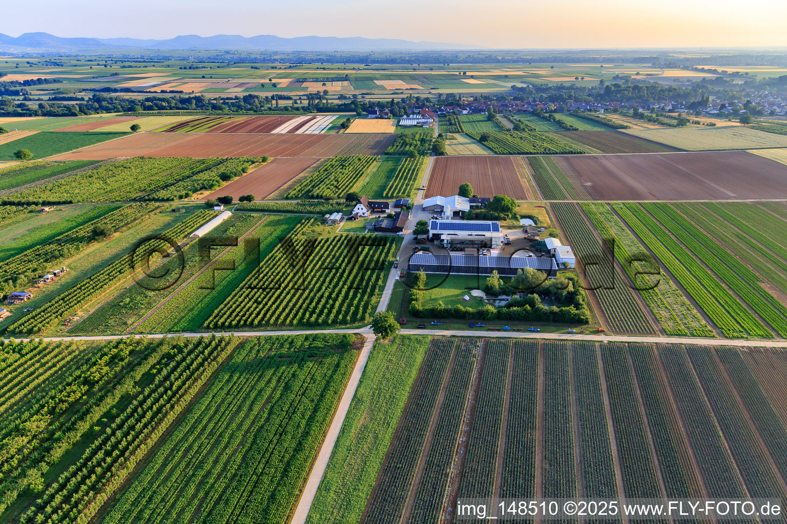 Farmer's Garden in Winden in the state Rhineland-Palatinate, Germany seen from above