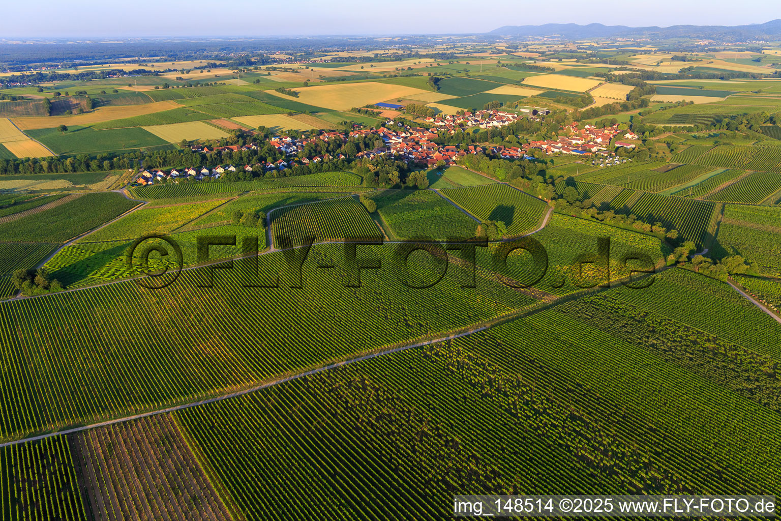 Village view in the morning from the northeast in Dierbach in the state Rhineland-Palatinate, Germany