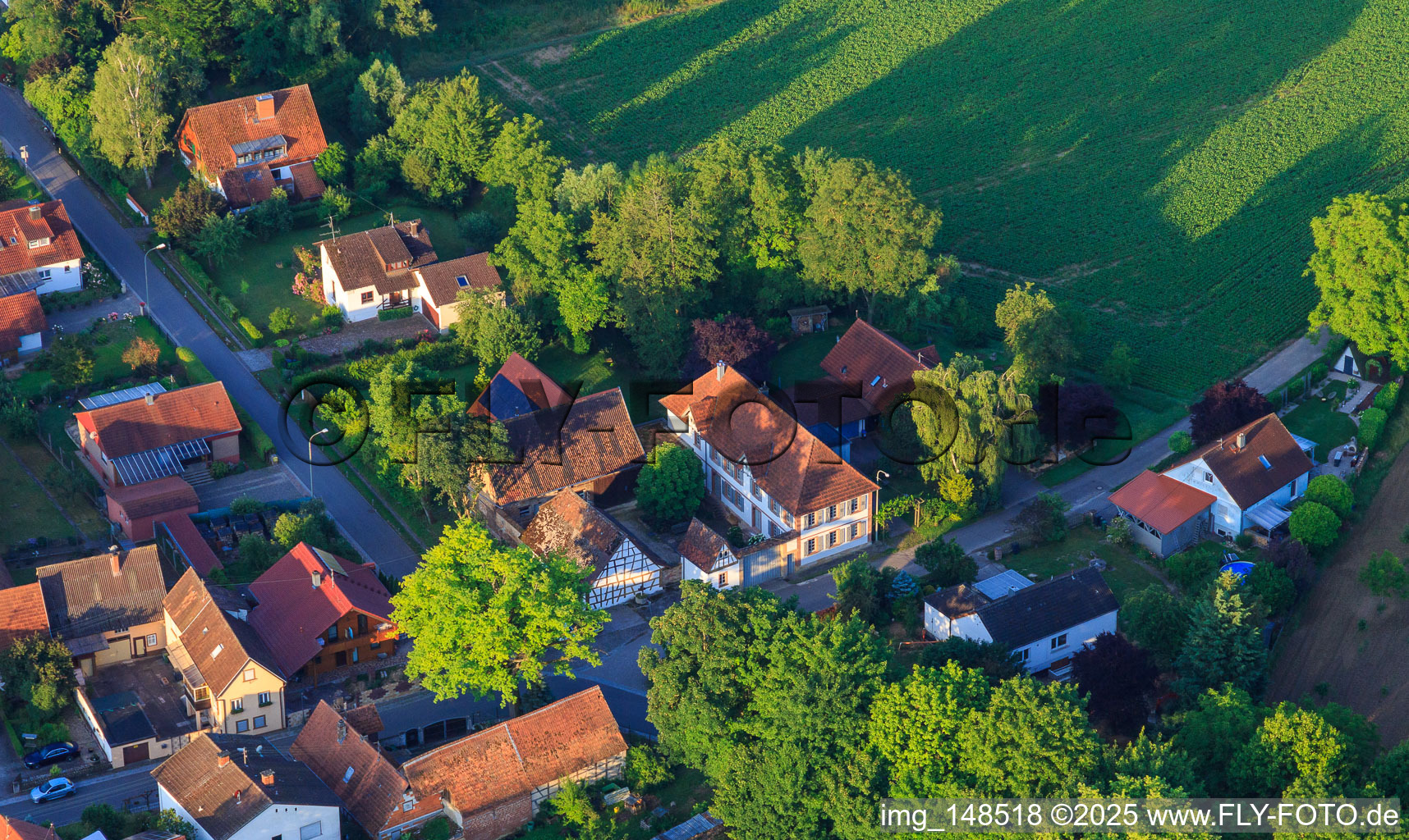 Villa on the main street in Dierbach in the state Rhineland-Palatinate, Germany