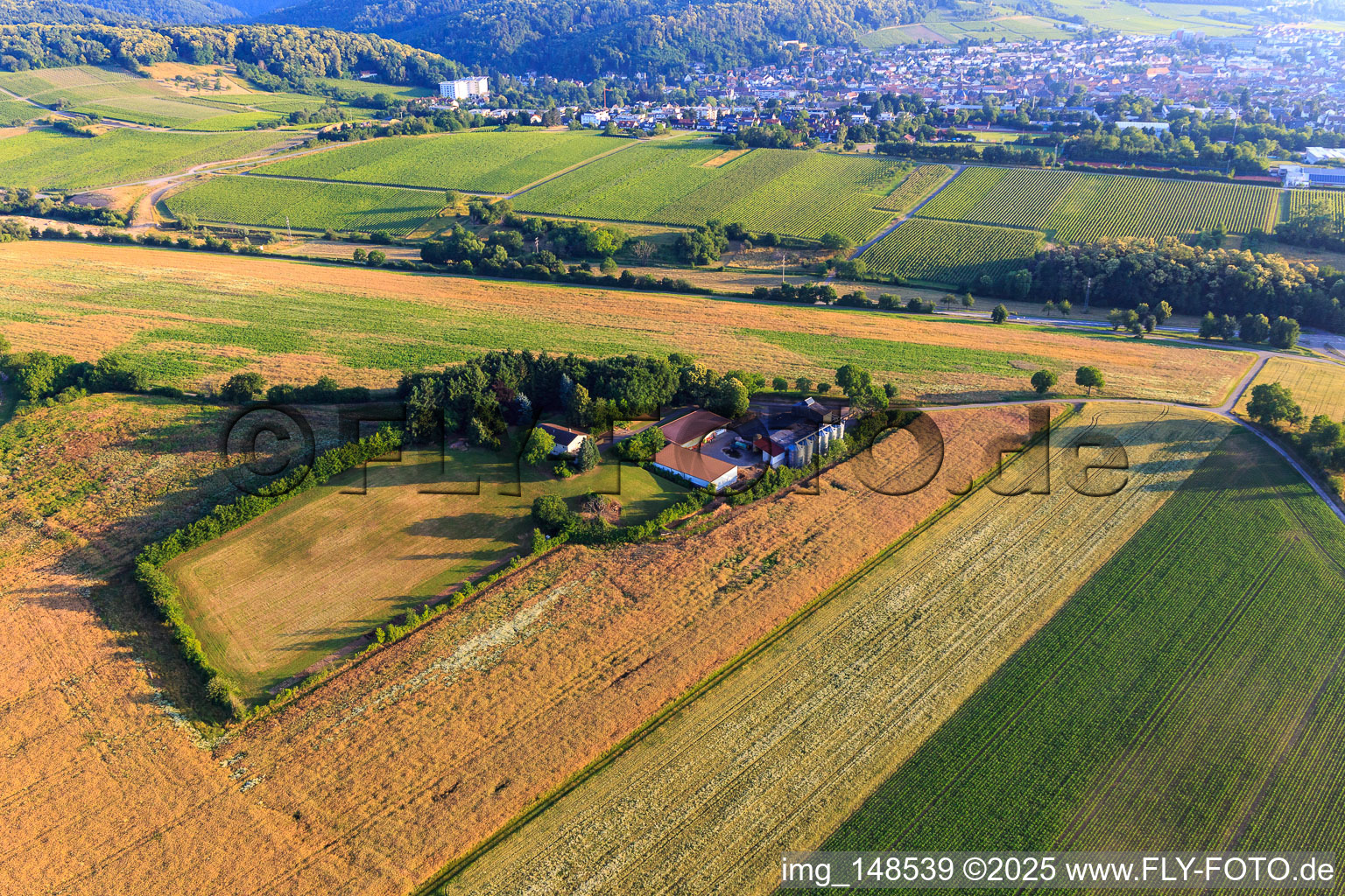 Oblique view of Resettler farm in Dörrenbach in the state Rhineland-Palatinate, Germany