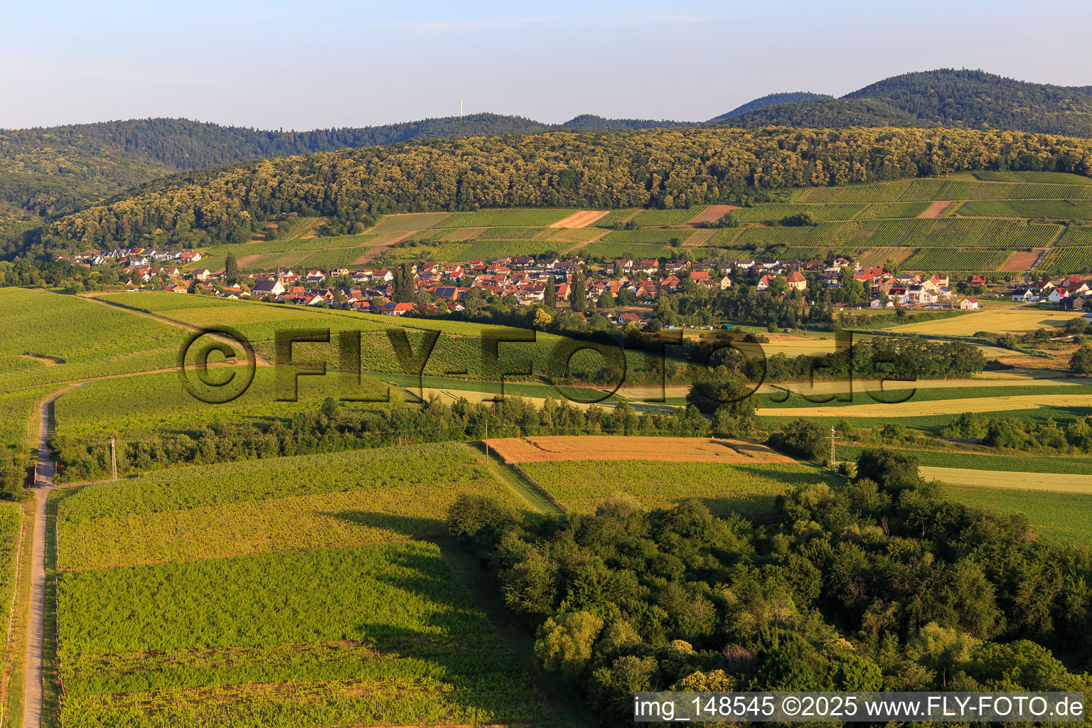 Wine town from the east in the district Pleisweiler in Pleisweiler-Oberhofen in the state Rhineland-Palatinate, Germany