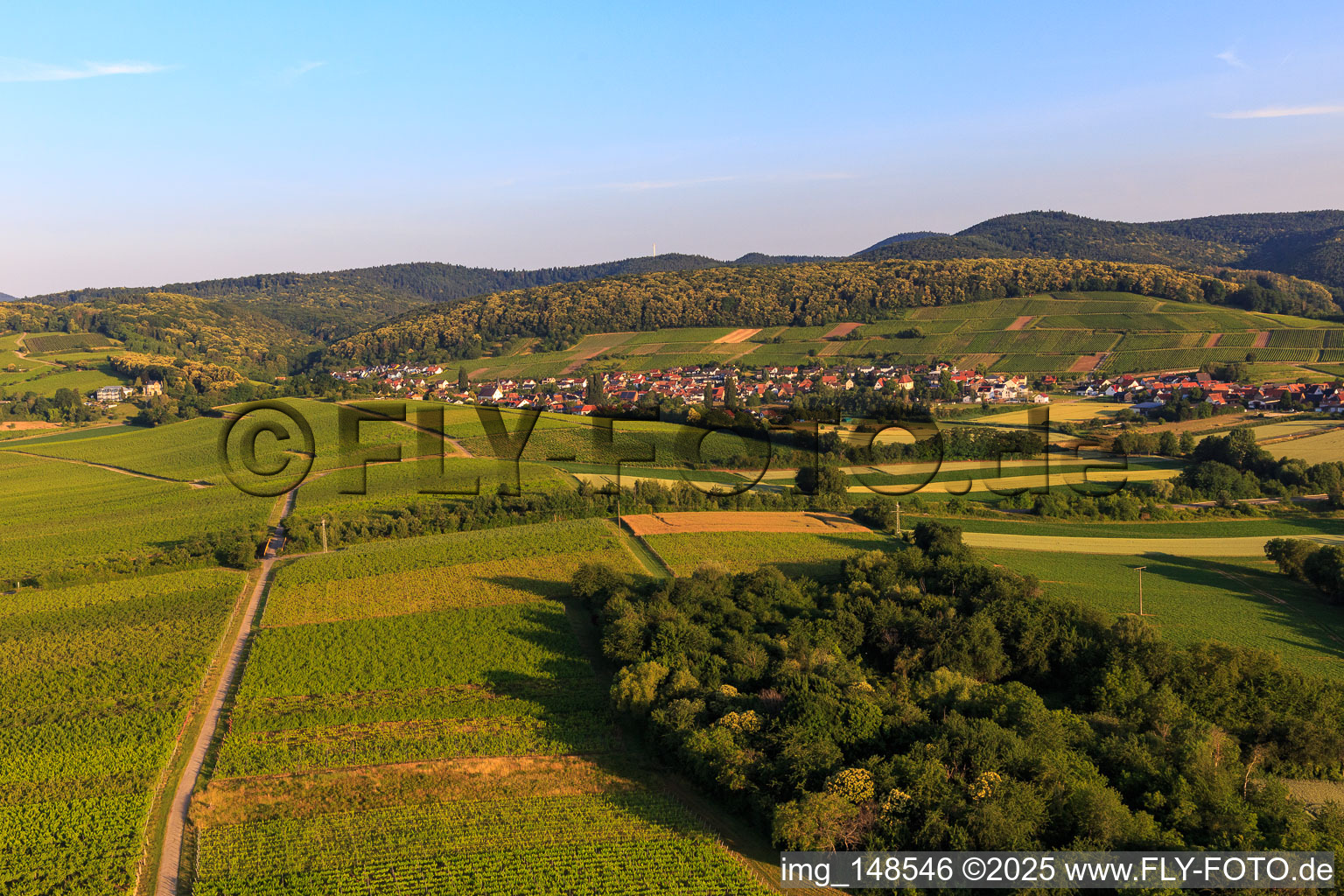 Aerial view of Wine town from the east in the district Pleisweiler in Pleisweiler-Oberhofen in the state Rhineland-Palatinate, Germany
