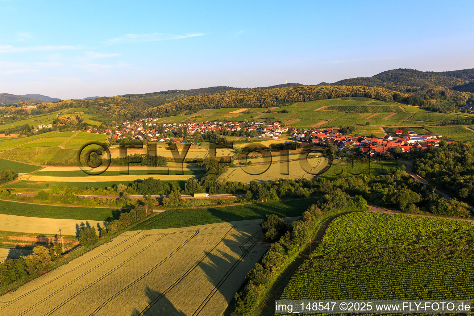 Wine town from the east in the district Oberhofen in Pleisweiler-Oberhofen in the state Rhineland-Palatinate, Germany