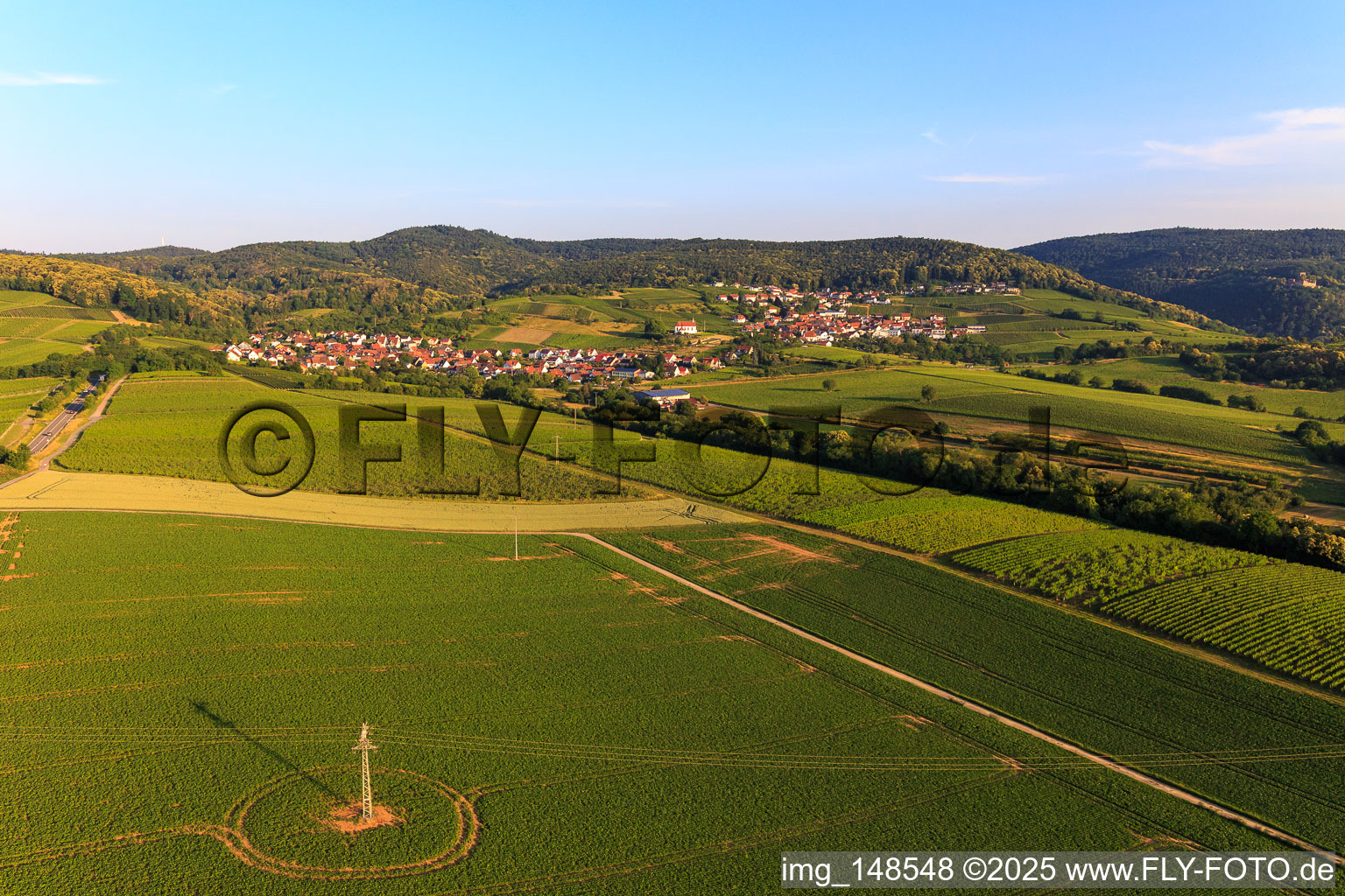 Wine town from the east in the district Gleiszellen in Gleiszellen-Gleishorbach in the state Rhineland-Palatinate, Germany