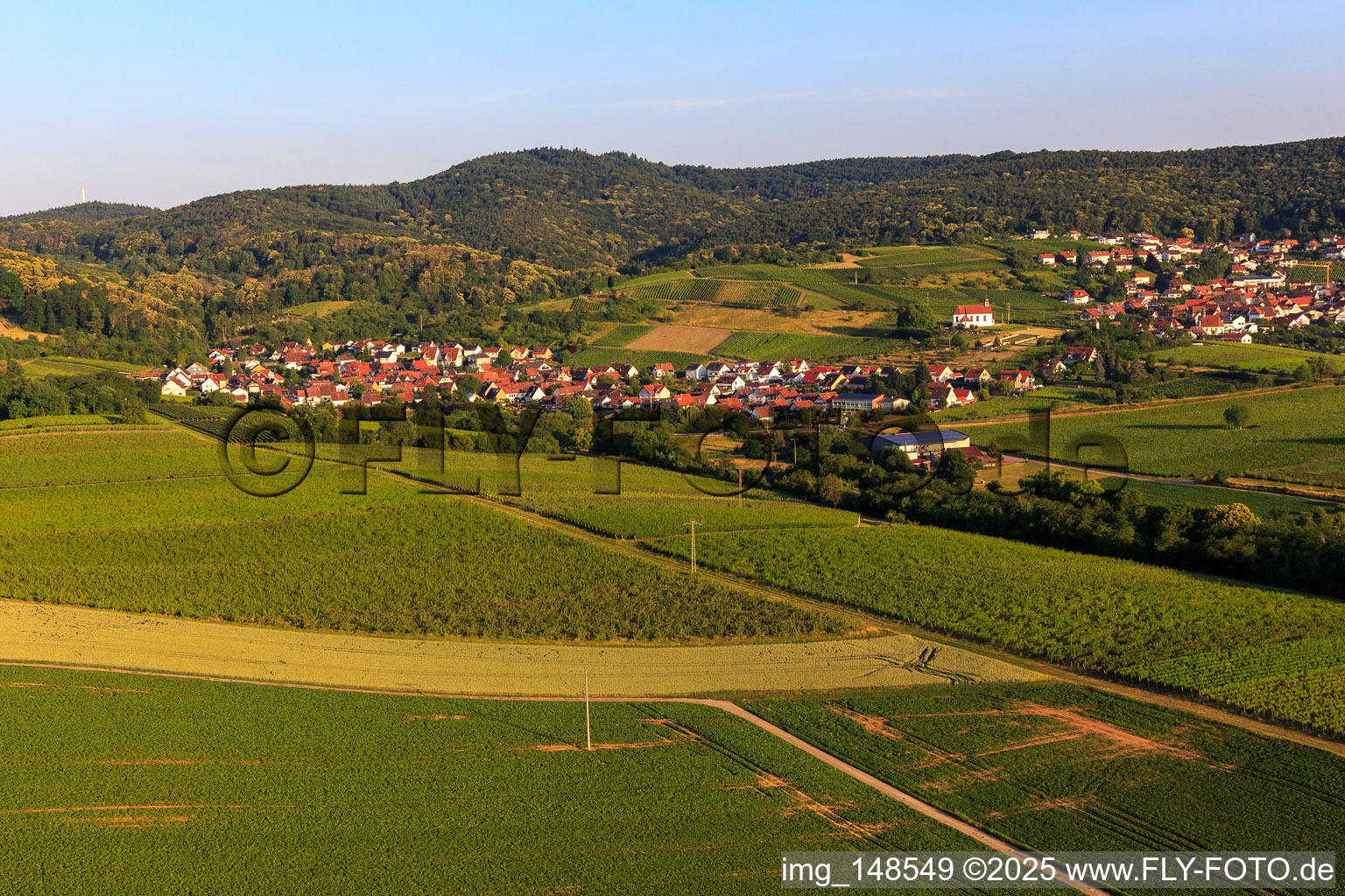 Wine town from the east in the district Gleishorbach in Gleiszellen-Gleishorbach in the state Rhineland-Palatinate, Germany