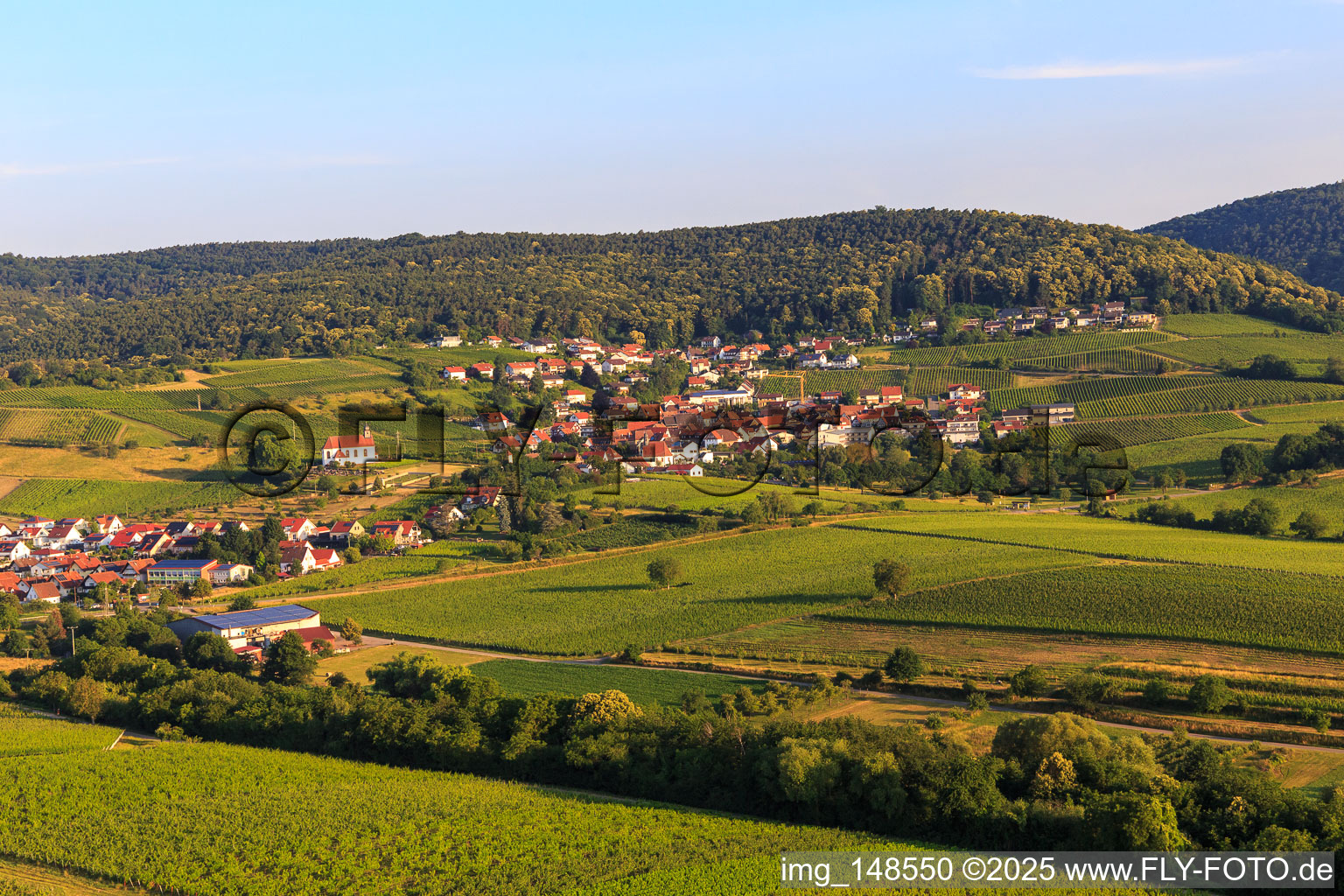 Aerial view of Wine town from the east in the district Gleiszellen in Gleiszellen-Gleishorbach in the state Rhineland-Palatinate, Germany