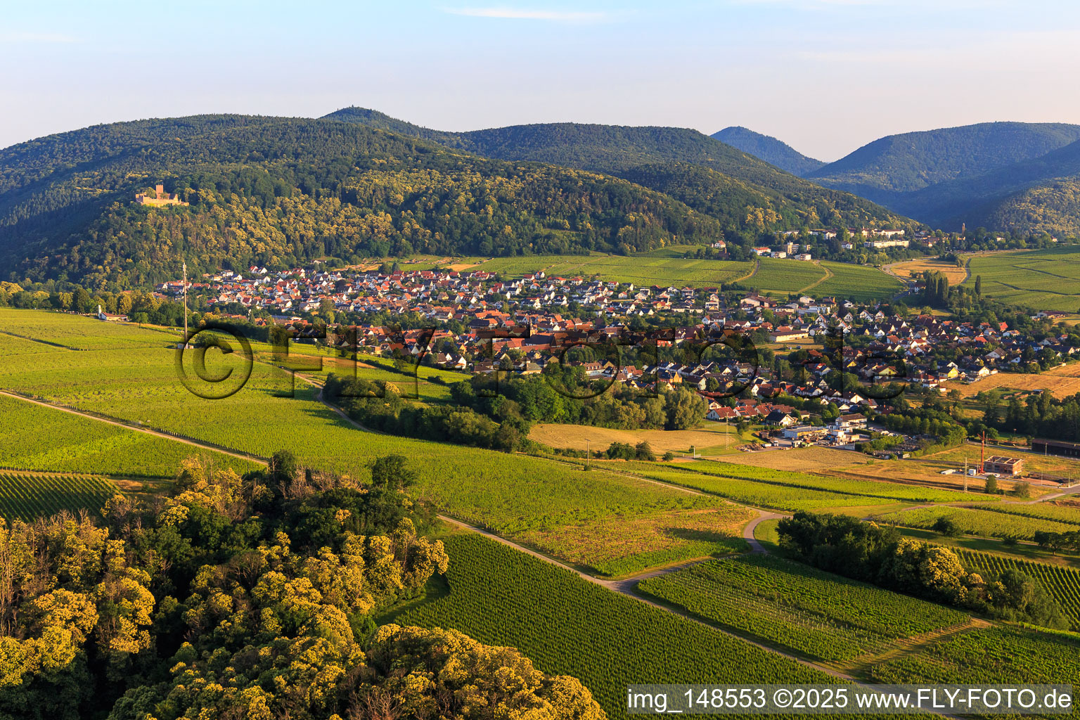 Wine town from the east in Klingenmünster in the state Rhineland-Palatinate, Germany