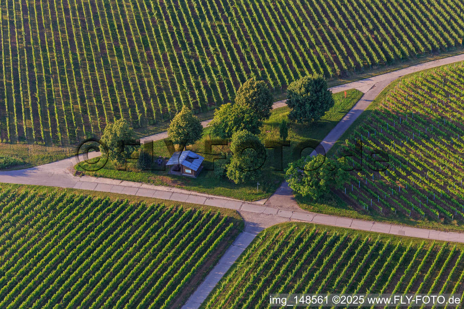 Barbecue hut in the vineyards in the district Klingen in Heuchelheim-Klingen in the state Rhineland-Palatinate, Germany