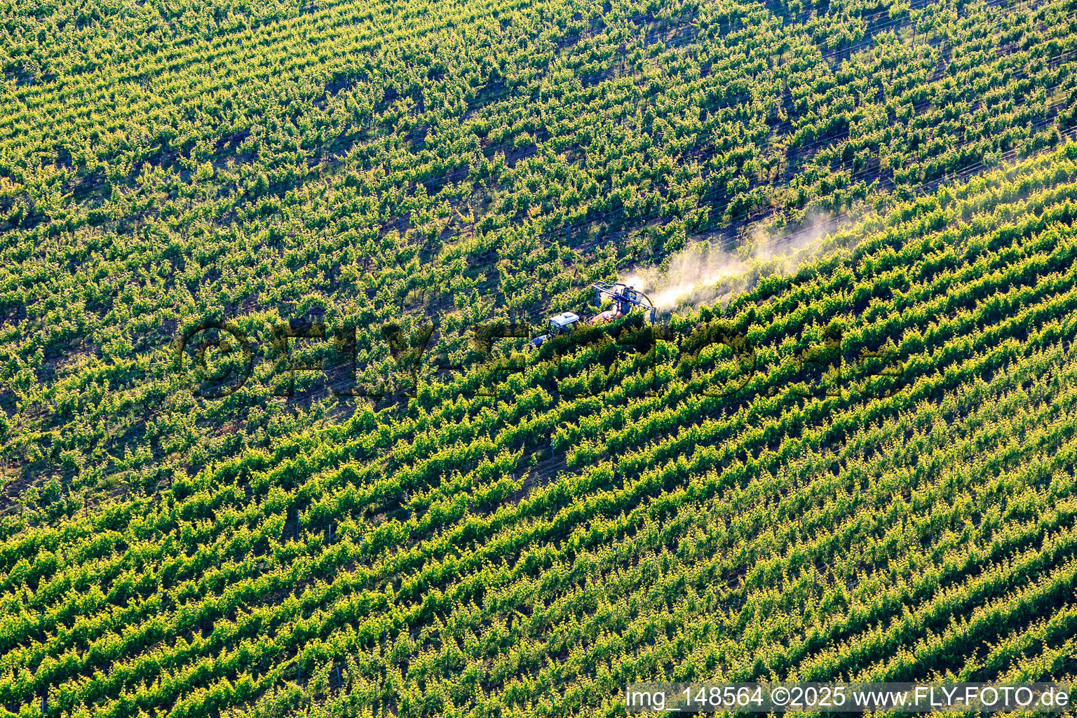 Aerial view of Spray mist from pesticides in the vineyard in the district Ingenheim in Billigheim-Ingenheim in the state Rhineland-Palatinate, Germany