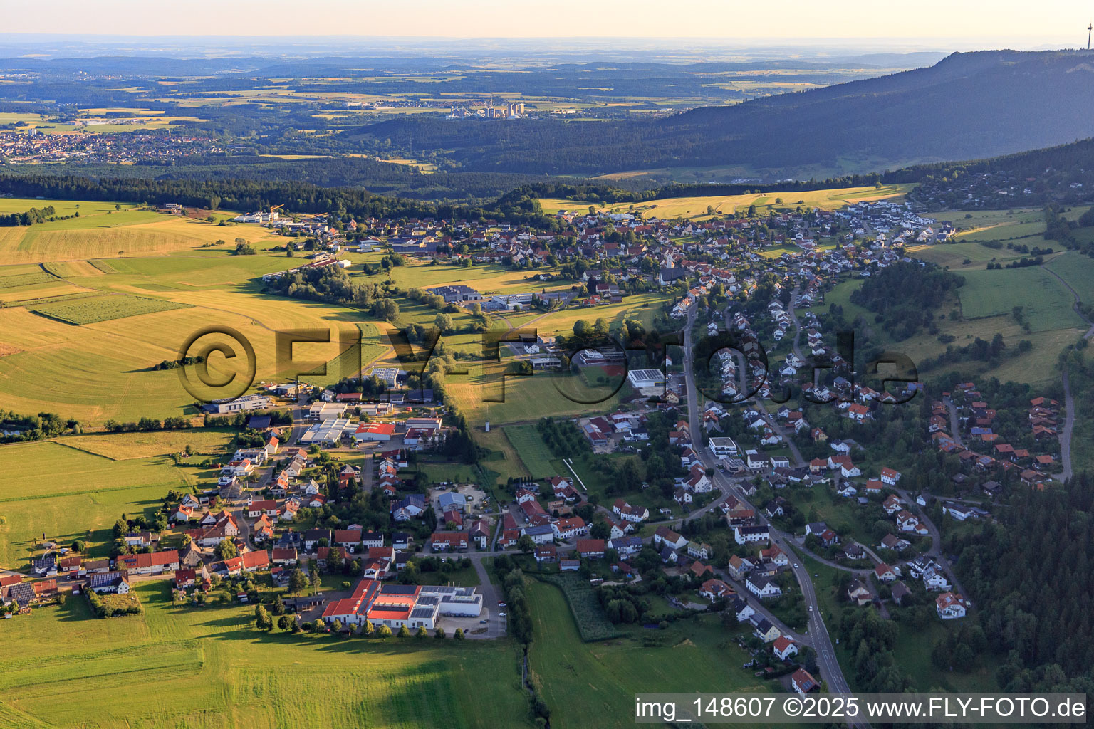 View of the town from the south in the district Delkhofen in Deilingen in the state Baden-Wuerttemberg, Germany