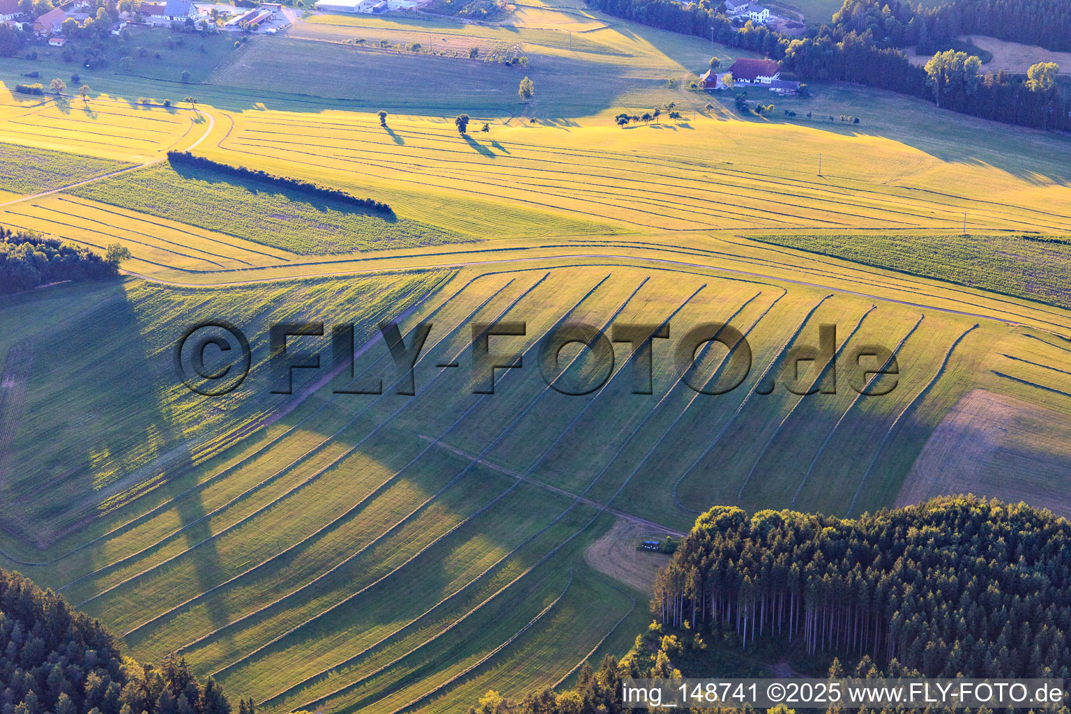 Aerial photograpy of Mowed meadows in the Black Forest in the evening in Niedereschach in the state Baden-Wuerttemberg, Germany