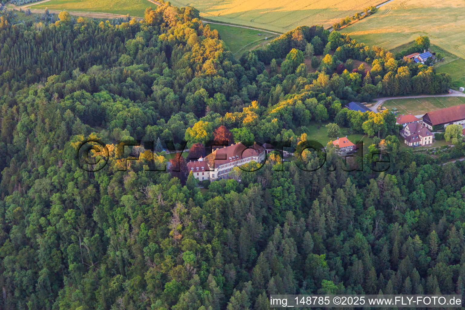 Aerial view of Hohenstein Castle and Franz Count of Bissingen in Dietingen in the state Baden-Wuerttemberg, Germany