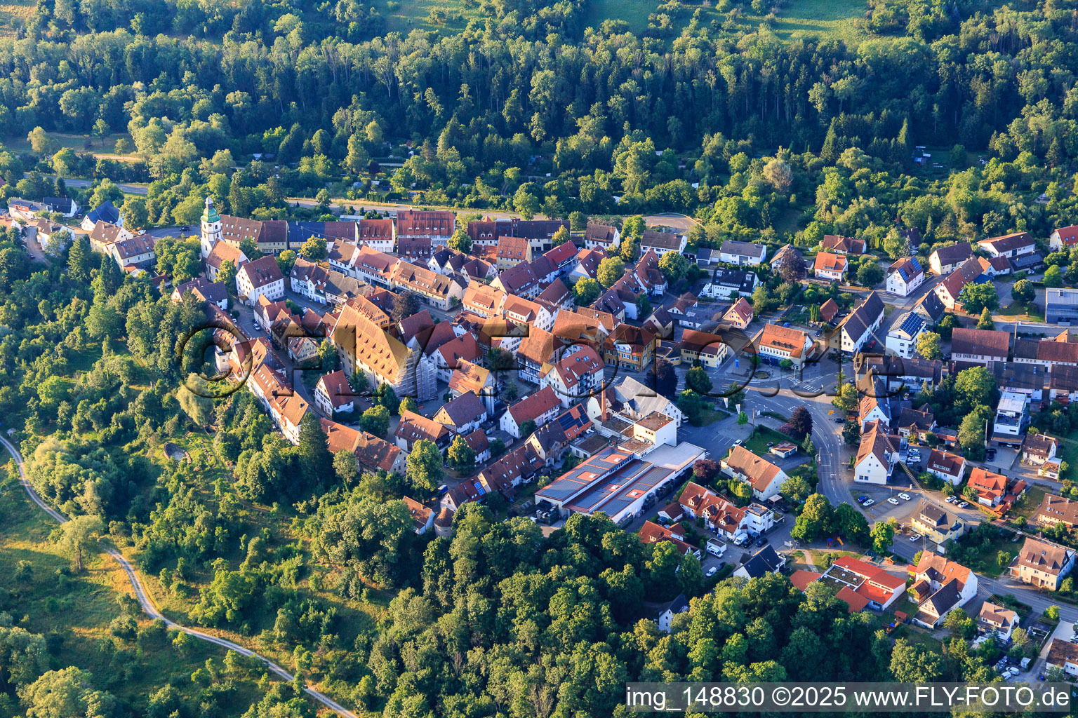 Historic town center with Fruchtkasten and town church in Rosenfeld in the state Baden-Wuerttemberg, Germany