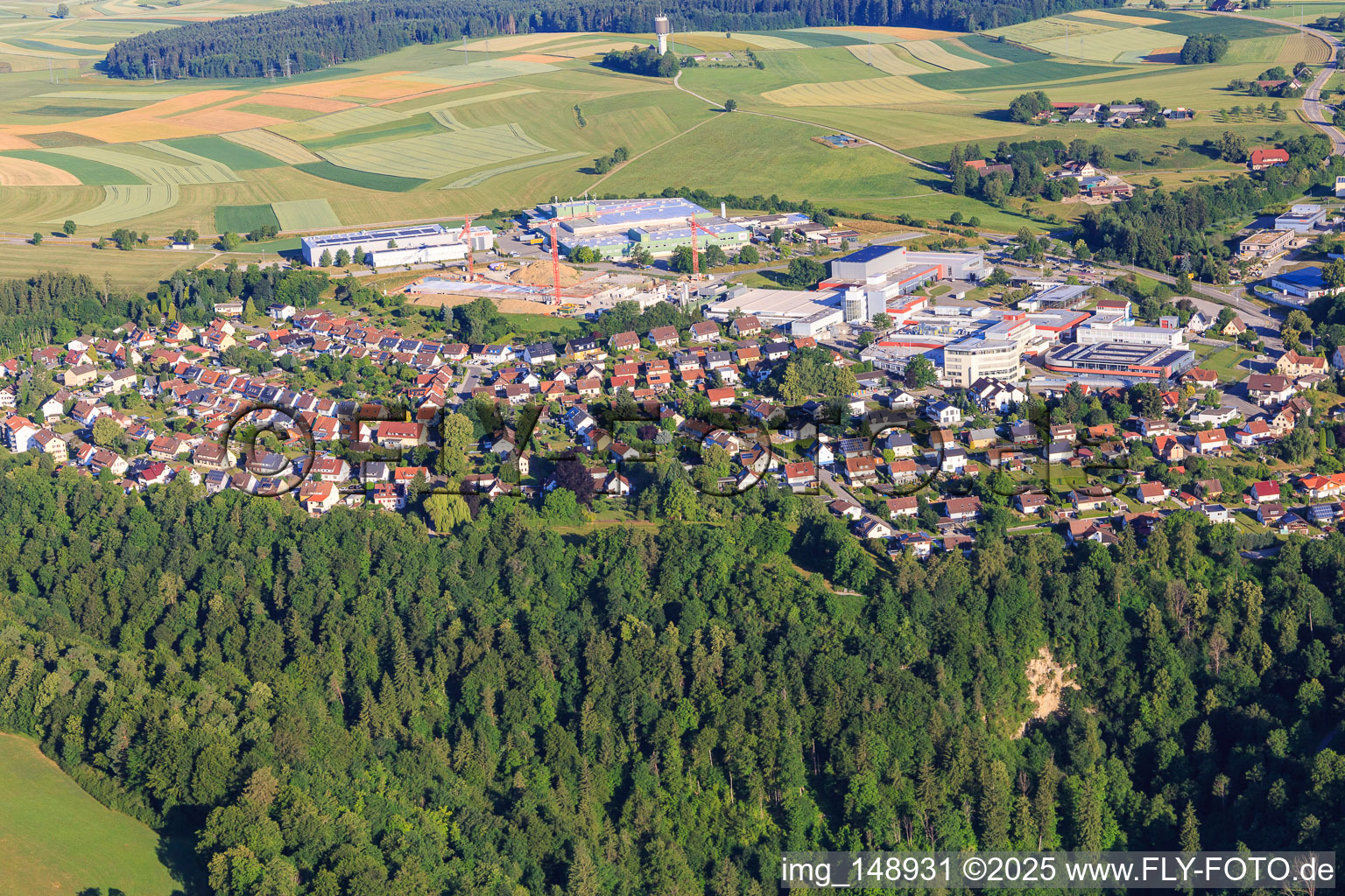 View of the town from the east in the district Lindenhof in Oberndorf am Neckar in the state Baden-Wuerttemberg, Germany