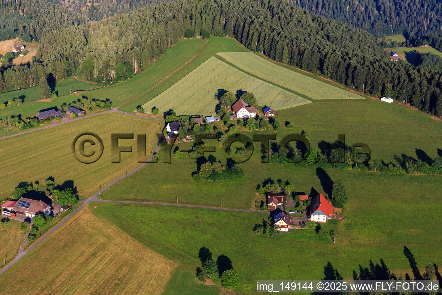 Individual farms in the district of Riesen in the district Rubstock in Aichhalden in the state Baden-Wuerttemberg, Germany