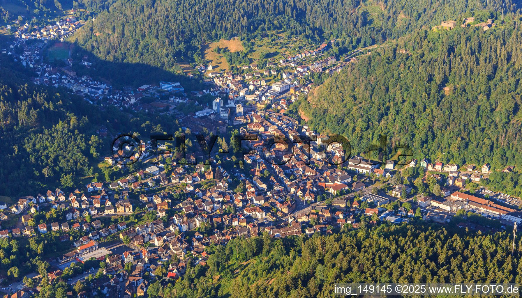 City overview from the northeast in Schramberg in the state Baden-Wuerttemberg, Germany