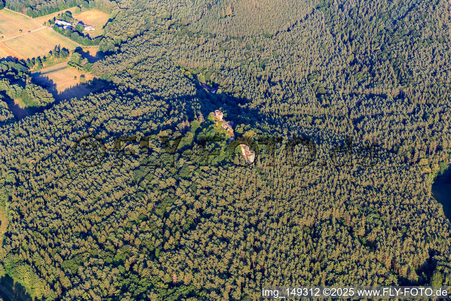 Drachenfels Castle Ruins in Busenberg in the state Rhineland-Palatinate, Germany viewn from the air