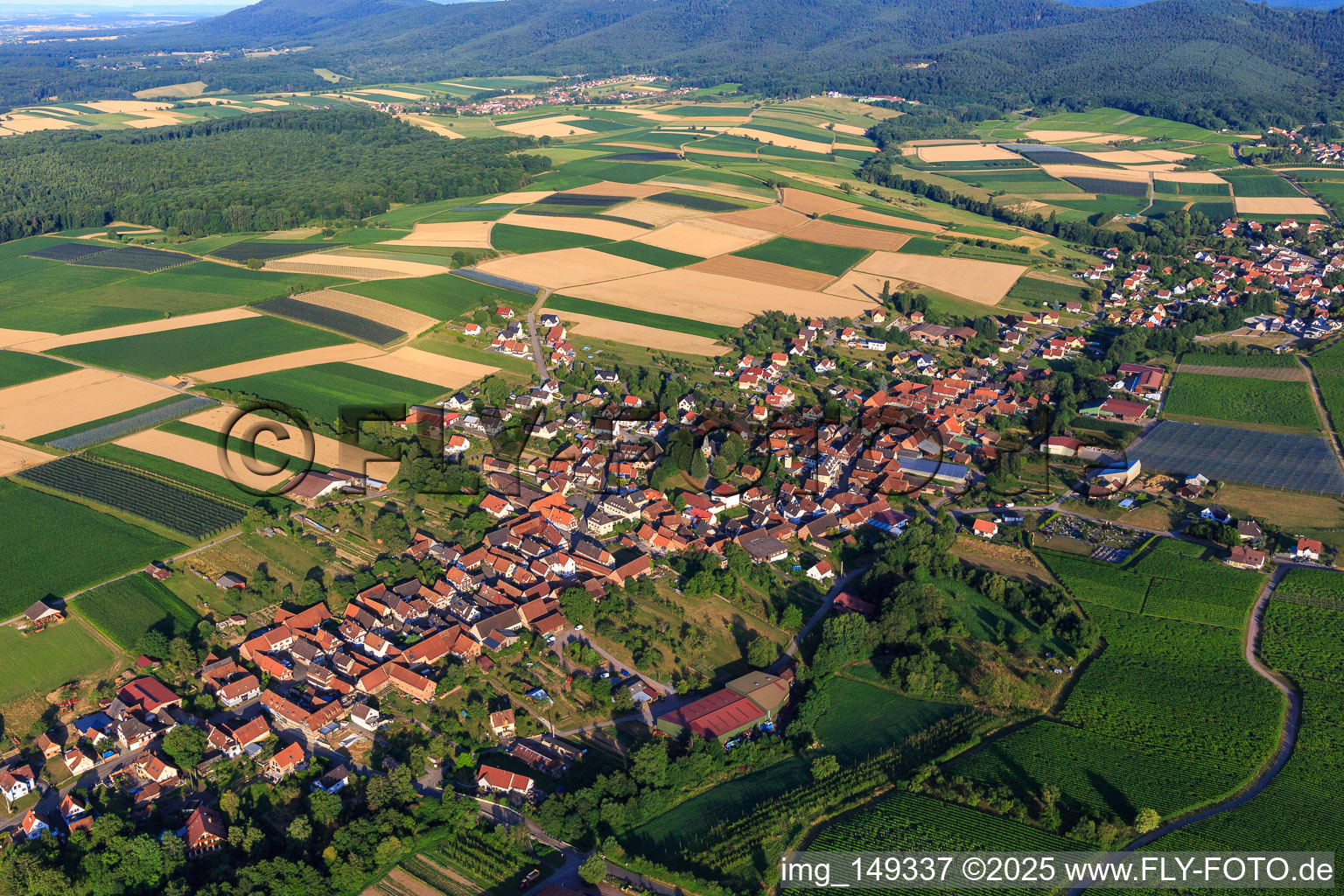View of the town from the east in Steinseltz in the state Bas-Rhin, France