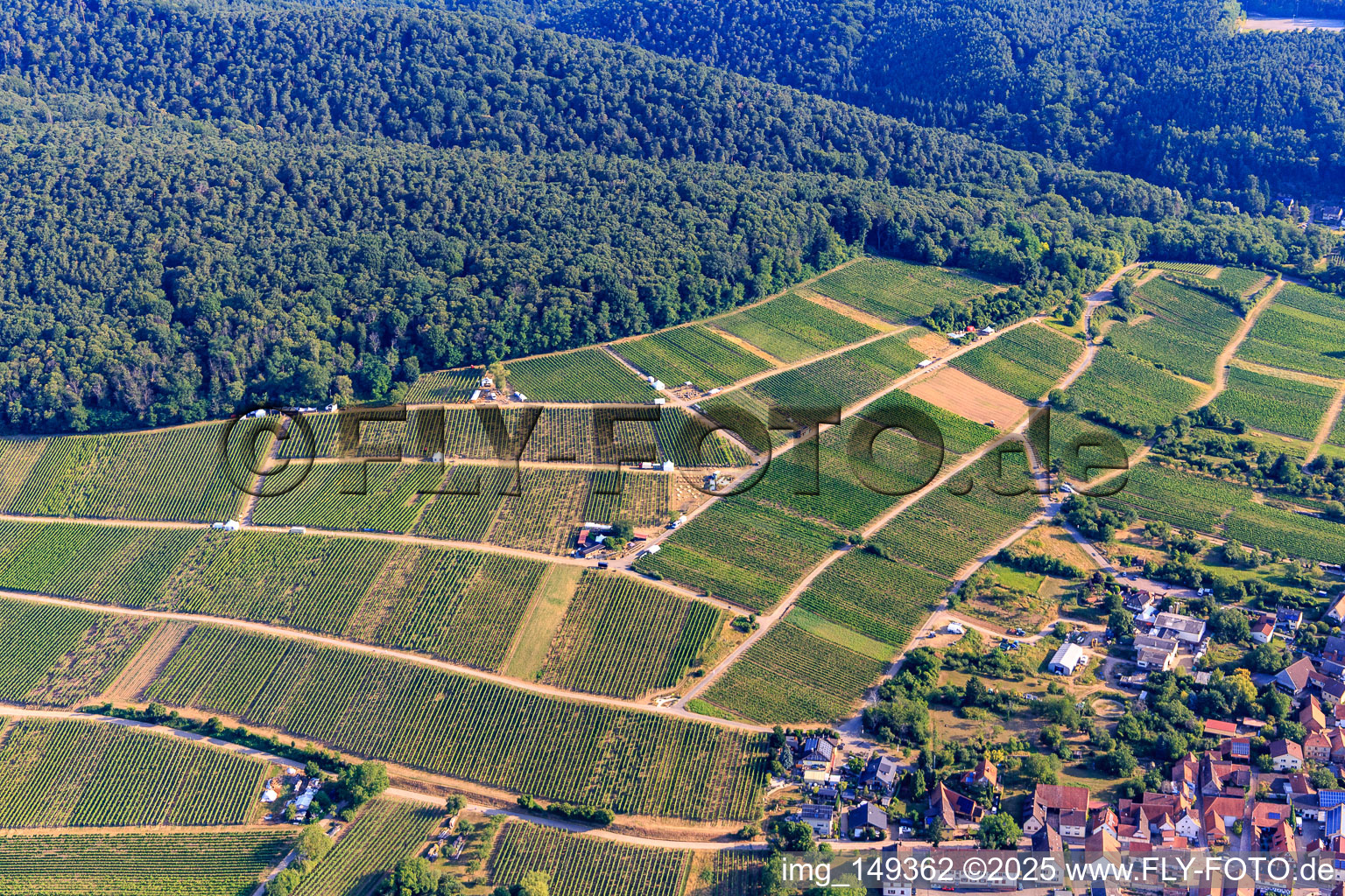 Tasting stands in the vineyard for "Grenzenlos Wein" (Wine Without Borders). A German-French wine event featuring wines from our winemakers and neighboring Alsace, as well as local delicacies high above the village, with a magnificent view over the Rhine plain and into neighboring Wissembourg. in the district Schweigen in Schweigen-Rechtenbach in the state Rhineland-Palatinate, Germany