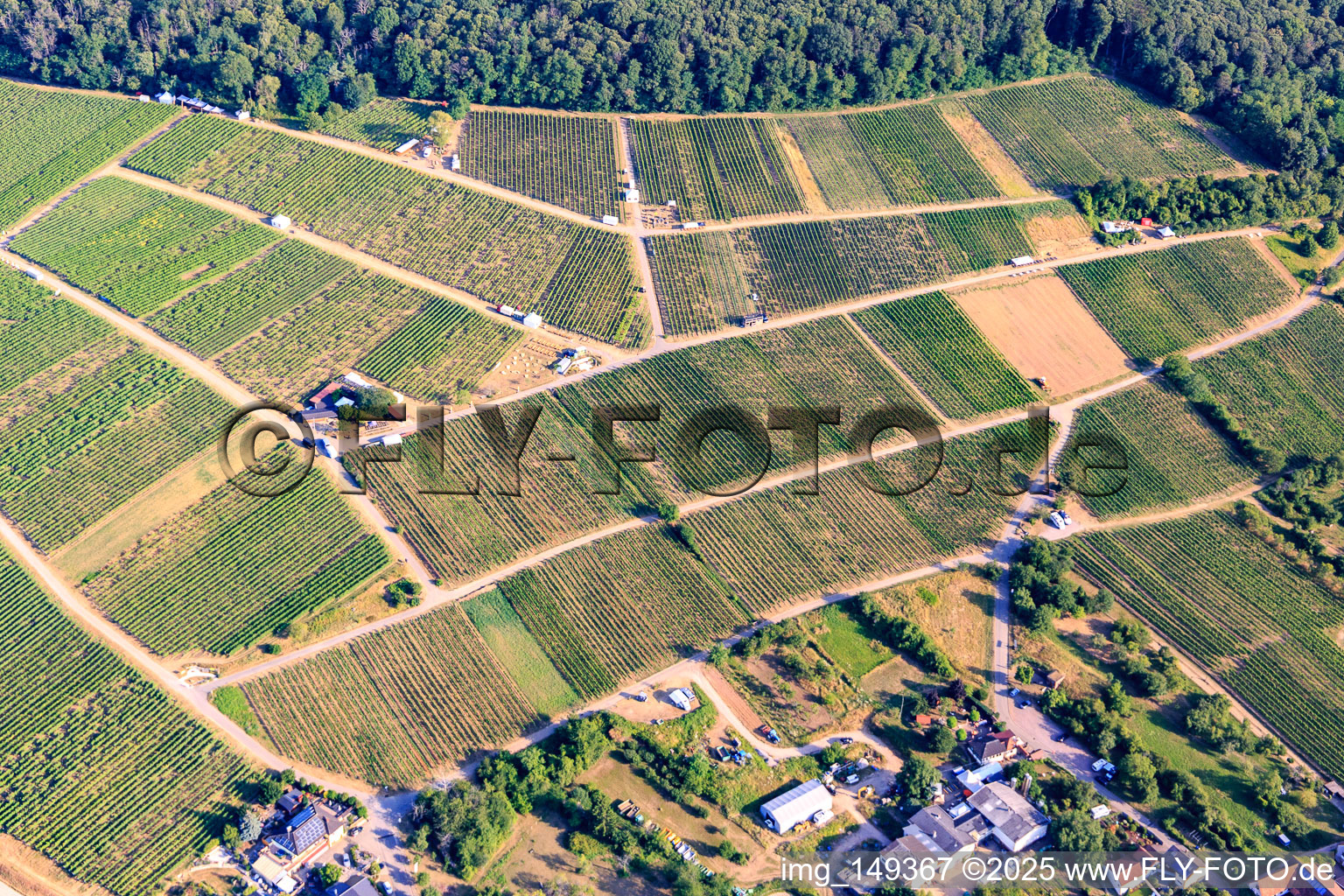 Oblique view of Tasting stands in the vineyard for "Grenzenlos Wein" (Wine Without Borders). A German-French wine event featuring wines from our winemakers and neighboring Alsace, as well as local delicacies high above the village, with a magnificent view over the Rhine plain and into neighboring Wissembourg. in the district Schweigen in Schweigen-Rechtenbach in the state Rhineland-Palatinate, Germany
