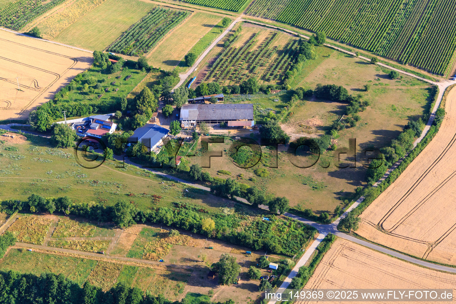 HEIDEBRUNNENHOF Purebred Arabian and Icelandic Horse Breeding in Oberotterbach in the state Rhineland-Palatinate, Germany
