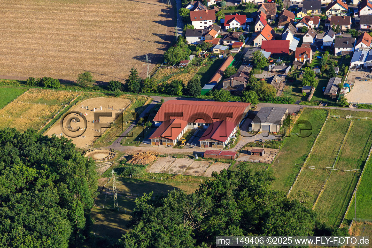 Horse farm at Altbach in the district Minderslachen in Kandel in the state Rhineland-Palatinate, Germany