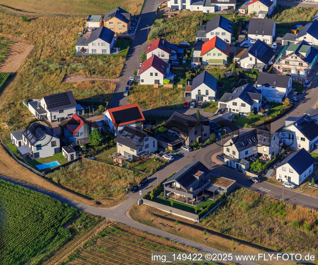 Aerial photograpy of Violet Path, Daffodil Path in Kandel in the state Rhineland-Palatinate, Germany