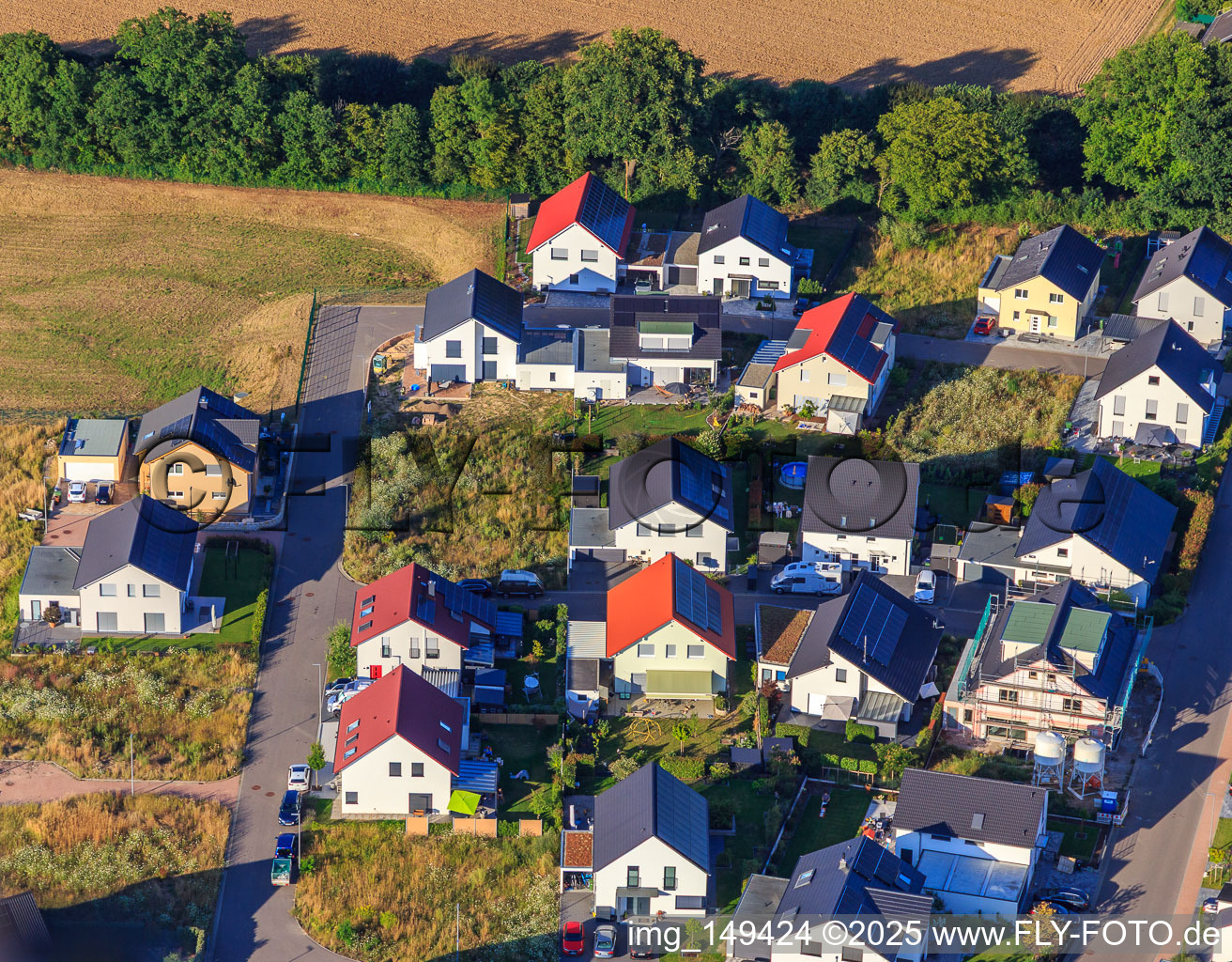 Daffodil Path in Kandel in the state Rhineland-Palatinate, Germany out of the air
