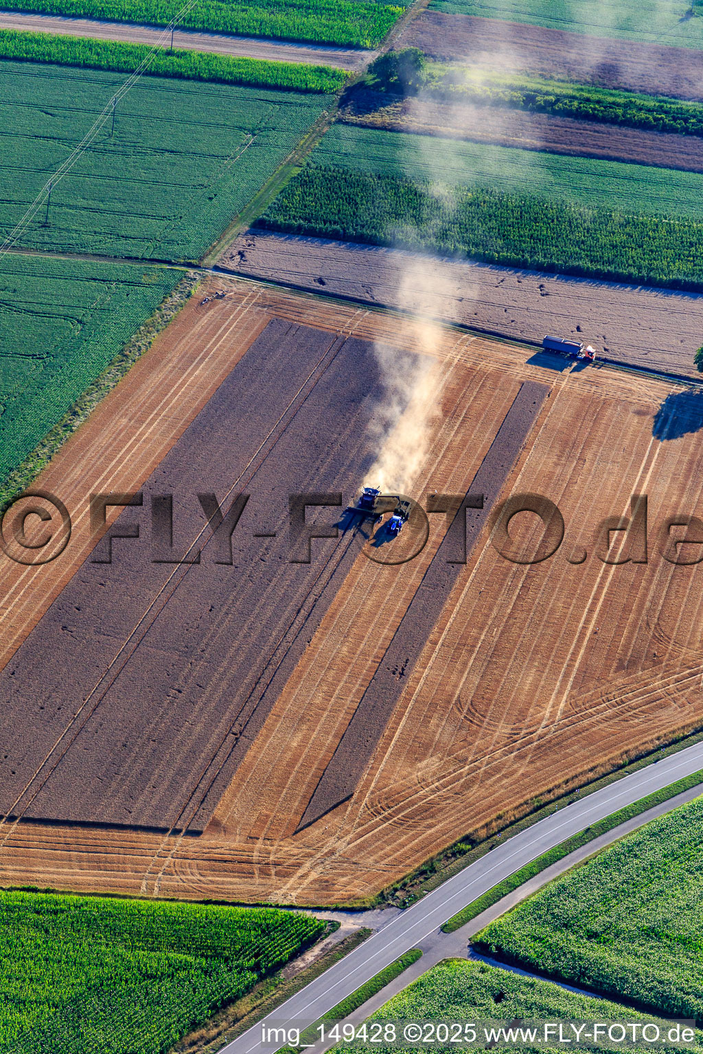 Aerial view of Grain harvest with combine harvester in action in Minfeld in the state Rhineland-Palatinate, Germany