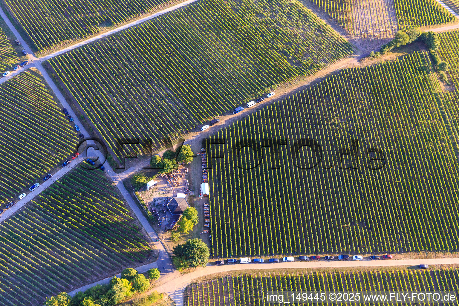 Aerial view of Wine festival at the grill hut Weinpanorama in the district Heuchelheim in Heuchelheim-Klingen in the state Rhineland-Palatinate, Germany