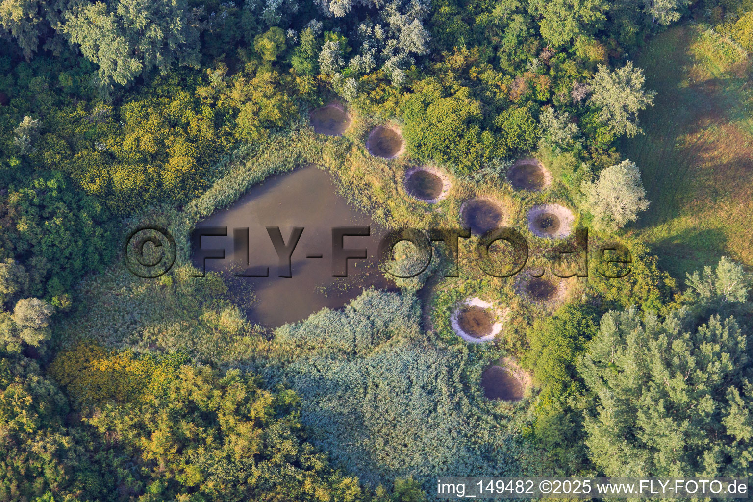 Réserve biologique dirigée de Lauterbourg in Lauterbourg in the state Bas-Rhin, France