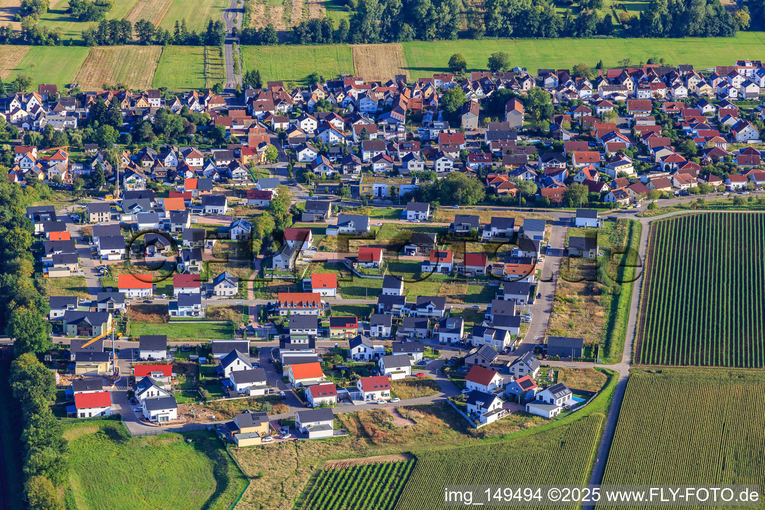 New development area K2 from the north with daffodil and sunflower path in Kandel in the state Rhineland-Palatinate, Germany