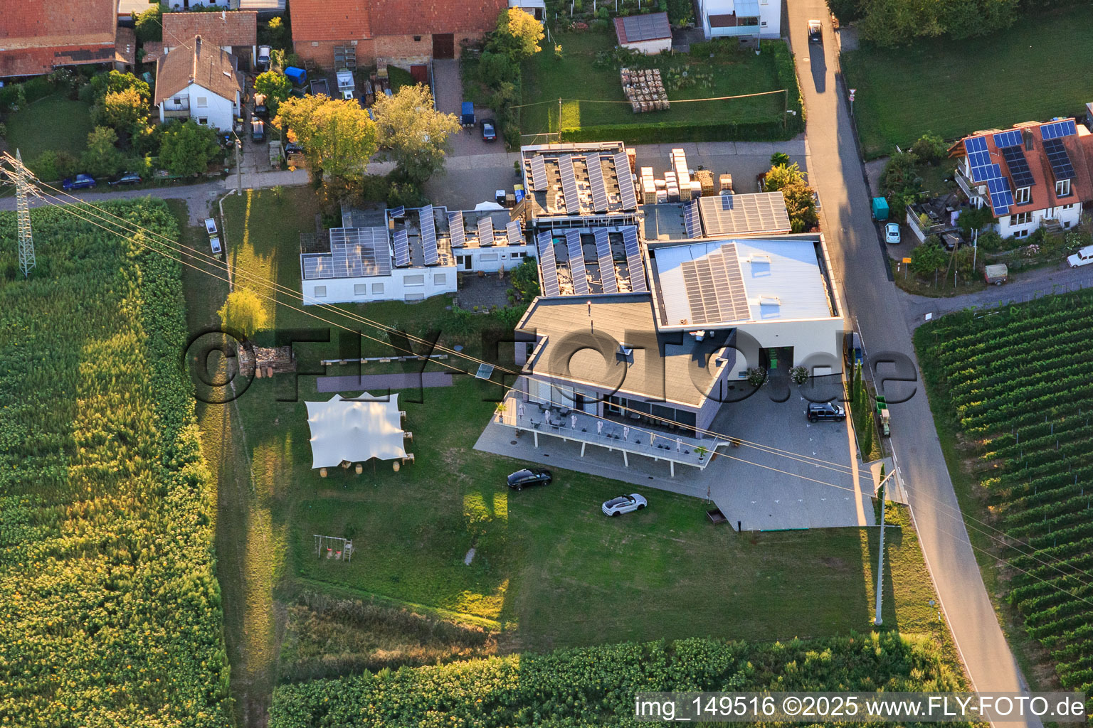 Wine shop of the Sauer family winery in the district Nußdorf in Landau in der Pfalz in the state Rhineland-Palatinate, Germany