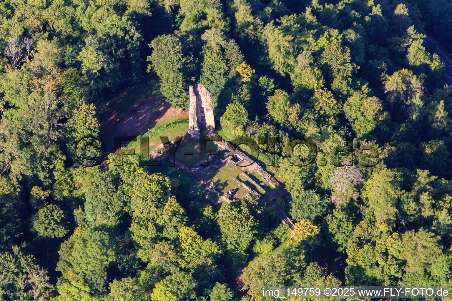 Aerial photograpy of Ruins and foundations of the castle Dagstuhl in the forest in the district Dagstuhl in Wadern in the state Saarland, Germany