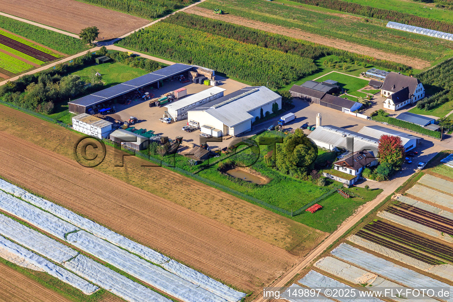 Farmer's Garden in Winden in the state Rhineland-Palatinate, Germany from the plane