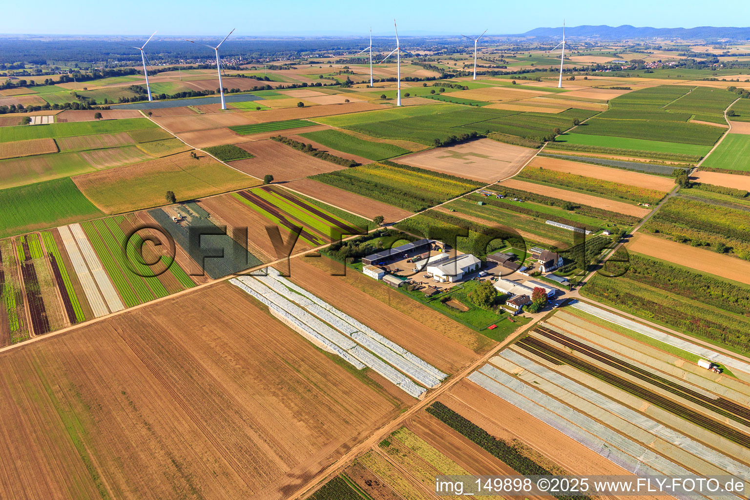 Bird's eye view of Farmer's Garden in Winden in the state Rhineland-Palatinate, Germany