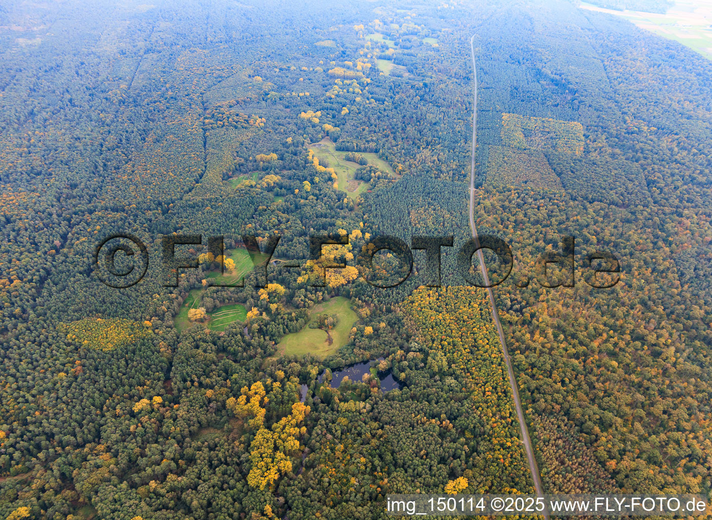 Lautertal in the Bienwald forest on the German-French border in the district Altenstadt in Wissembourg in the state Bas-Rhin, France