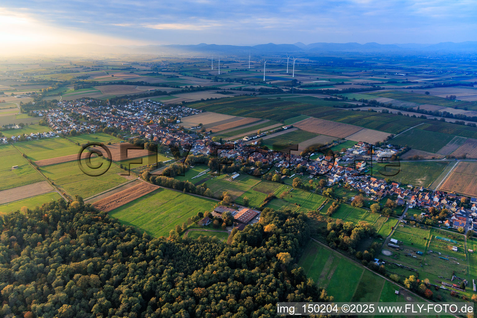 Oblique view of From the southeast in Freckenfeld in the state Rhineland-Palatinate, Germany