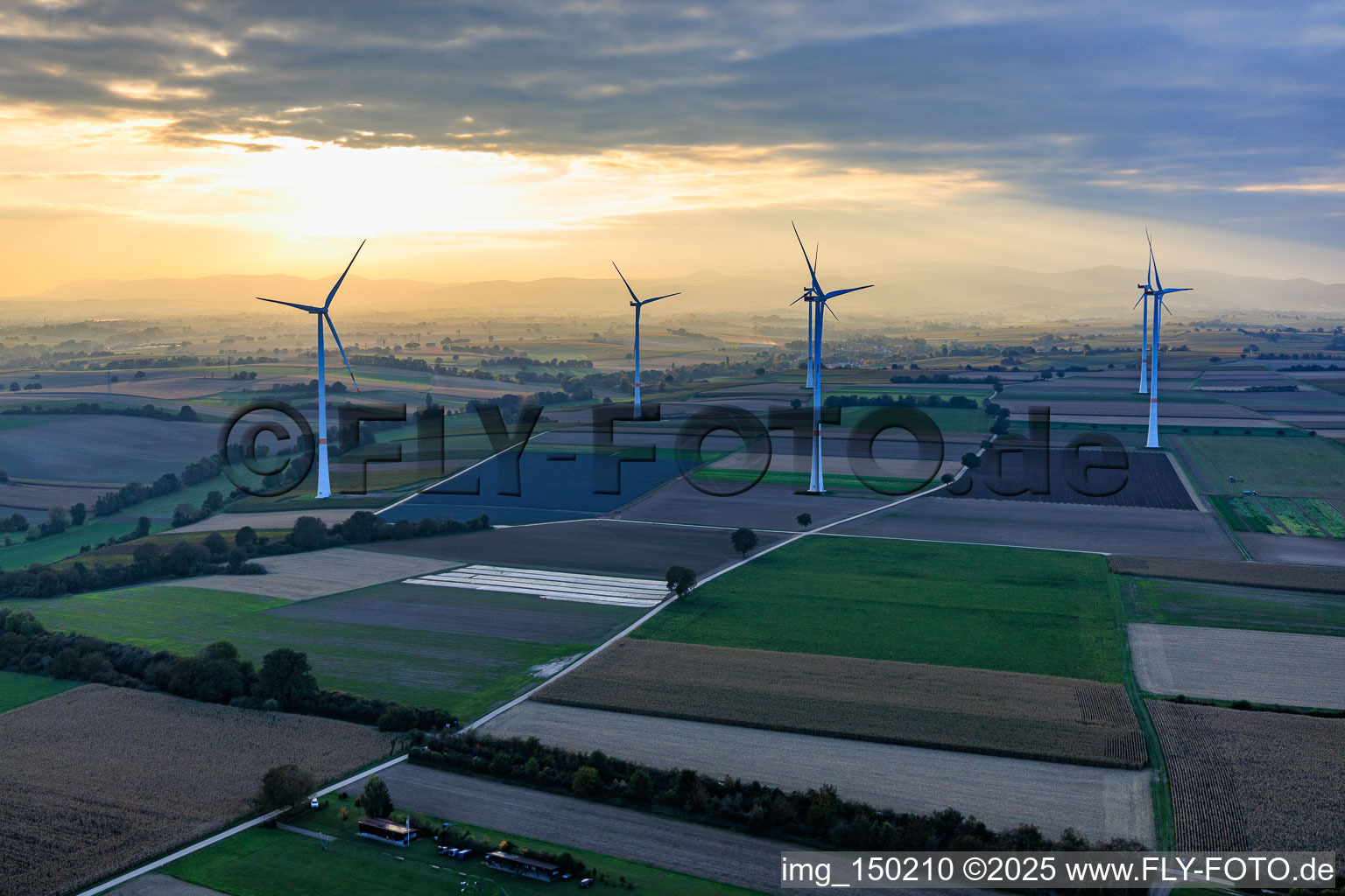 Wind farm Freckenfeld in the evening light from the west in Freckenfeld in the state Rhineland-Palatinate, Germany