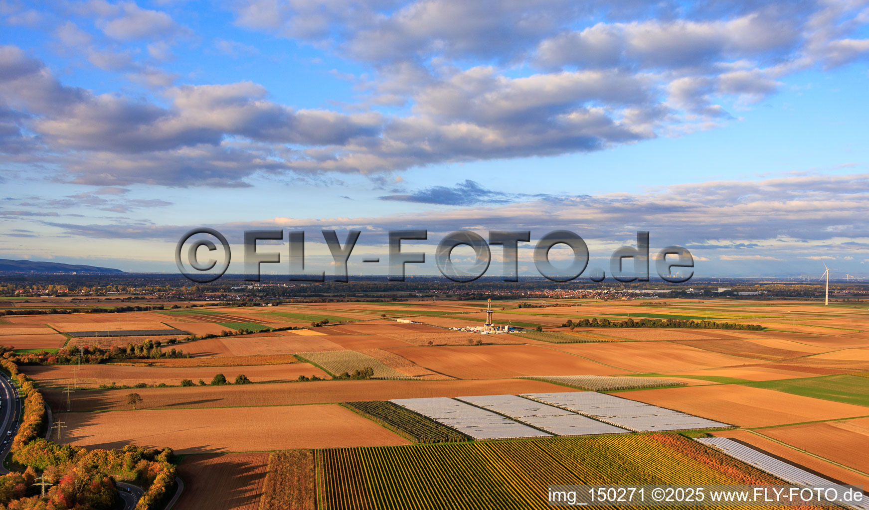 Vegetable field covered by a foil greenhouse in Insheim in the state Rhineland-Palatinate, Germany