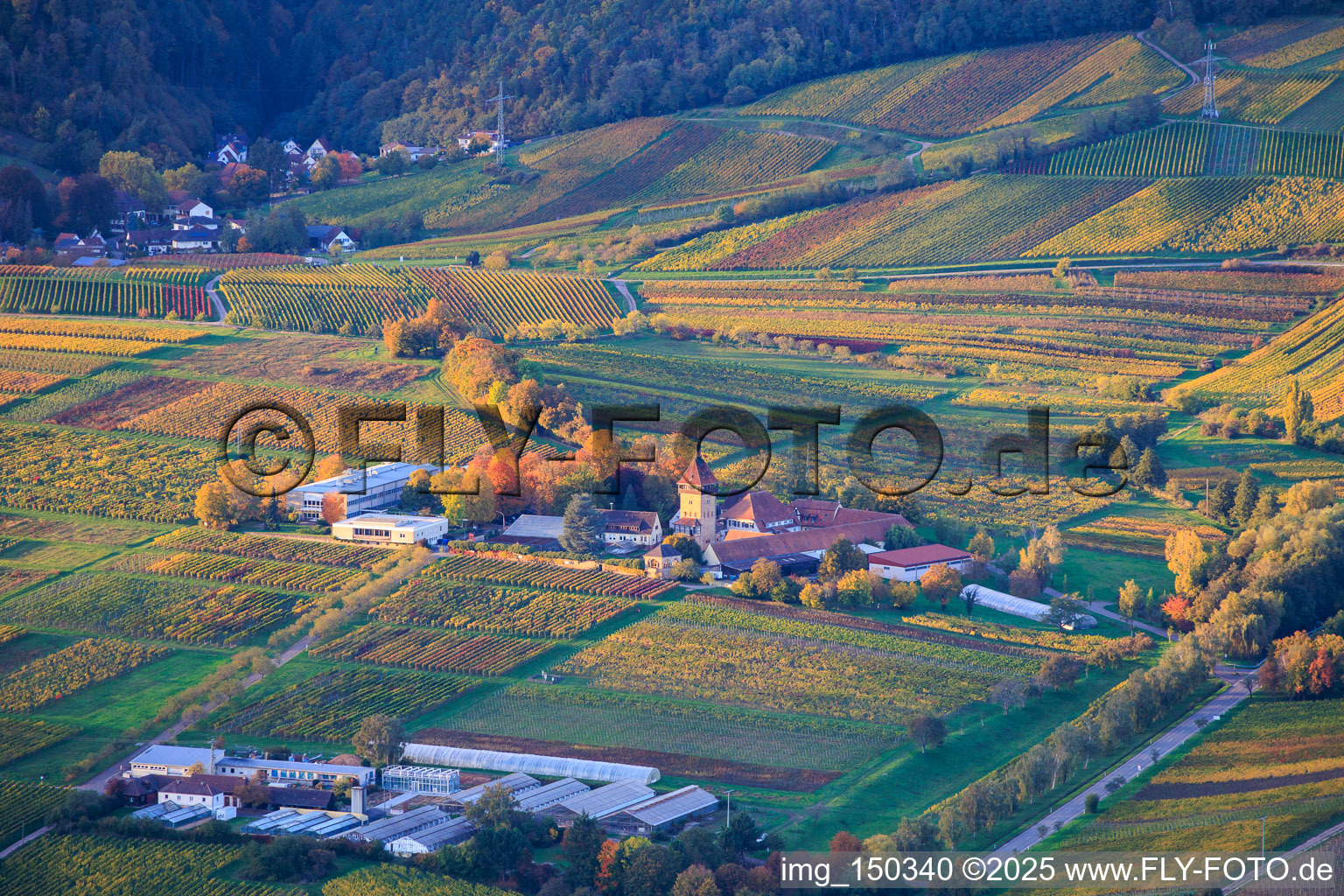 JKI Institute for Grapevine Breeding Geilweilerhof and Institute for Environmental Sciences in Siebeldingen in the state Rhineland-Palatinate, Germany