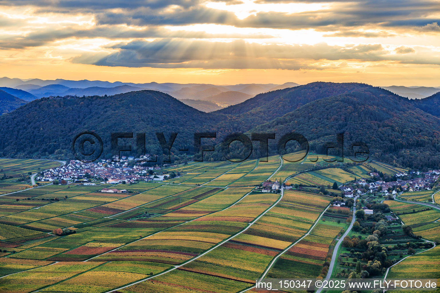 Autumnal vineyards in vibrant colors between Birnbach and Aalmühl along the wine trail Leinsweiler in Leinsweiler in the state Rhineland-Palatinate, Germany