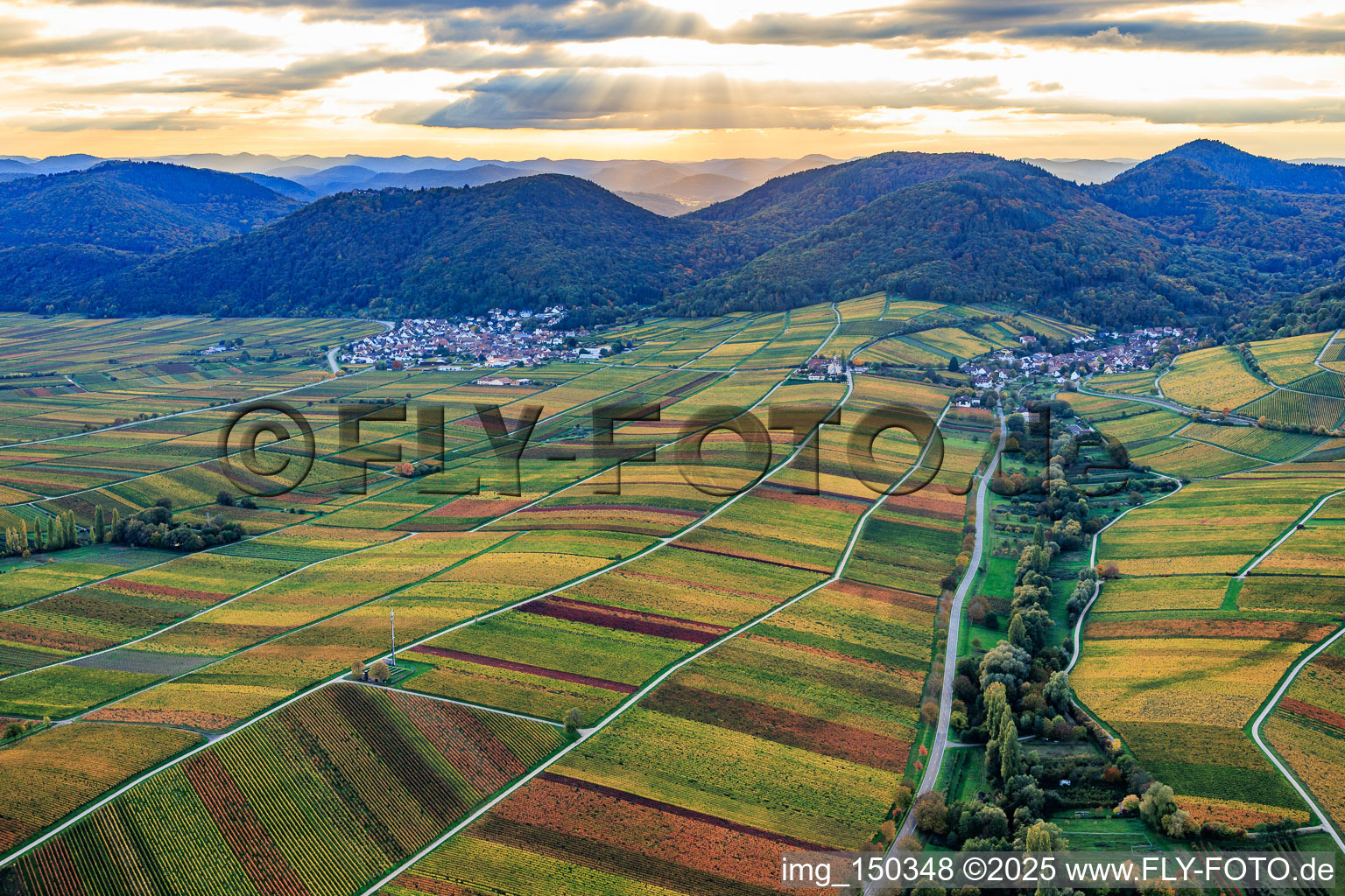 Aerial view of Autumnal vineyards in vibrant colors between Birnbach and Aalmühl along the wine trail Leinsweiler in Leinsweiler in the state Rhineland-Palatinate, Germany