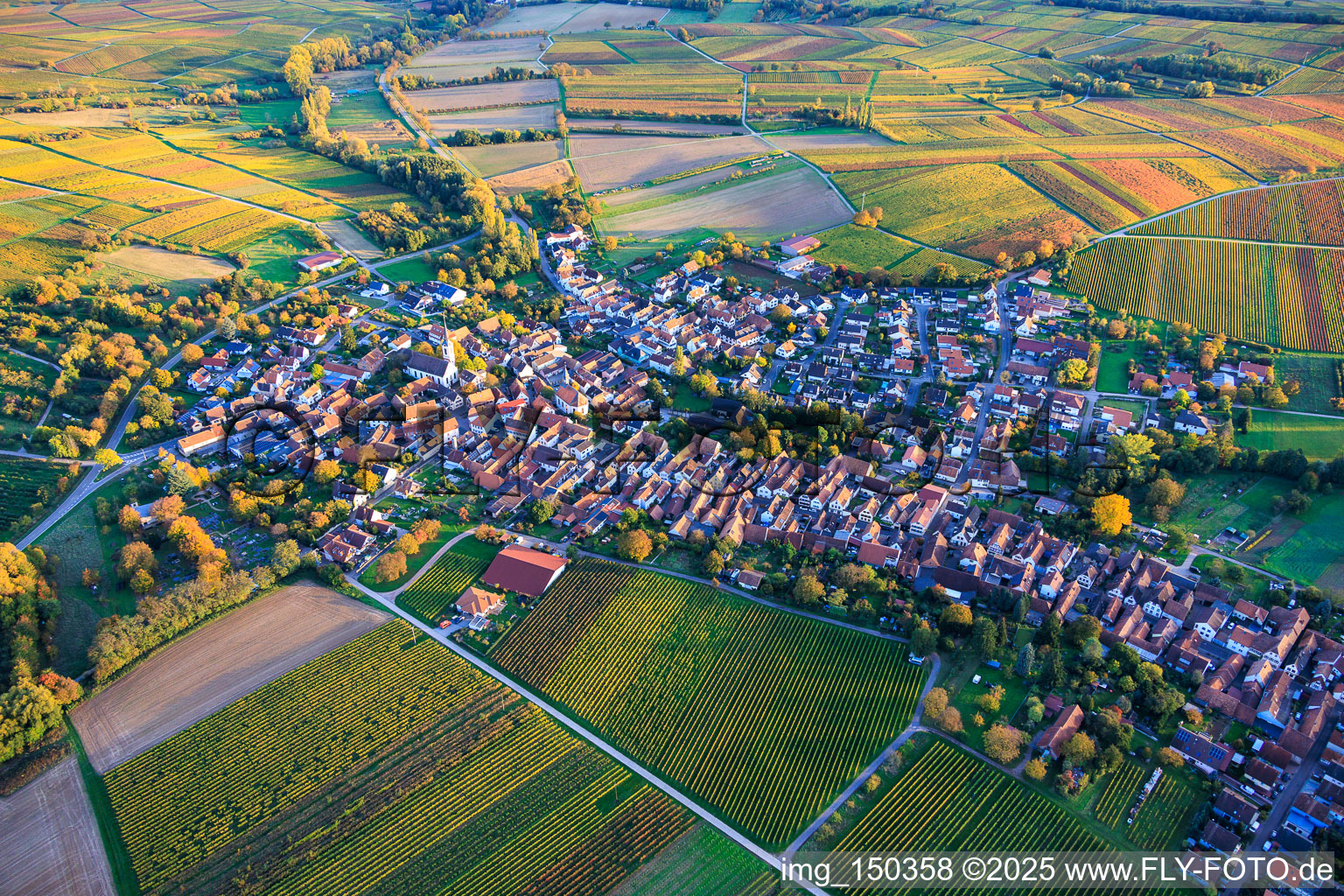 Village view from the northwest, nestled between vineyards ablaze with autumnal colors. in Göcklingen in the state Rhineland-Palatinate, Germany