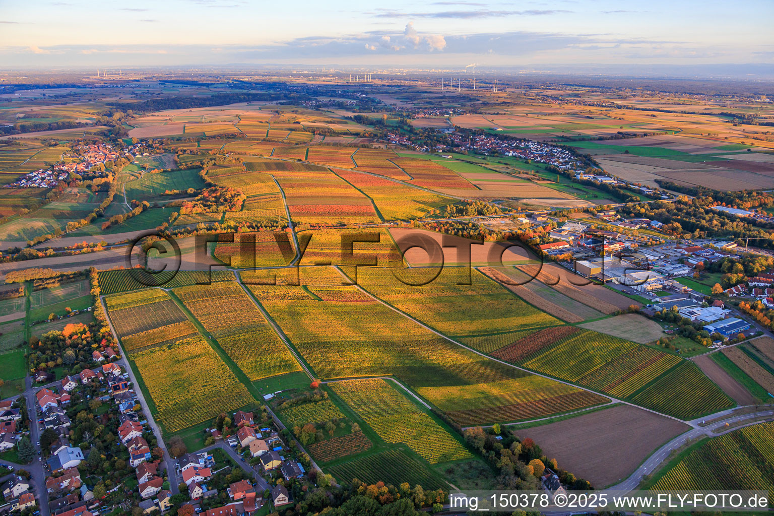 Aerial view of Vineyards ablaze with autumnal colors between Niederhorbach and Kappellen-Drusweiler in Niederhorbach in the state Rhineland-Palatinate, Germany