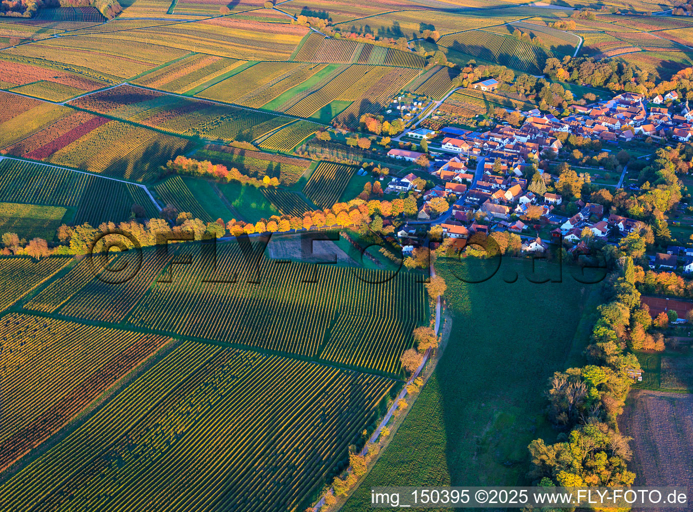 Avenue in autumn leaves in Dierbach in the state Rhineland-Palatinate, Germany