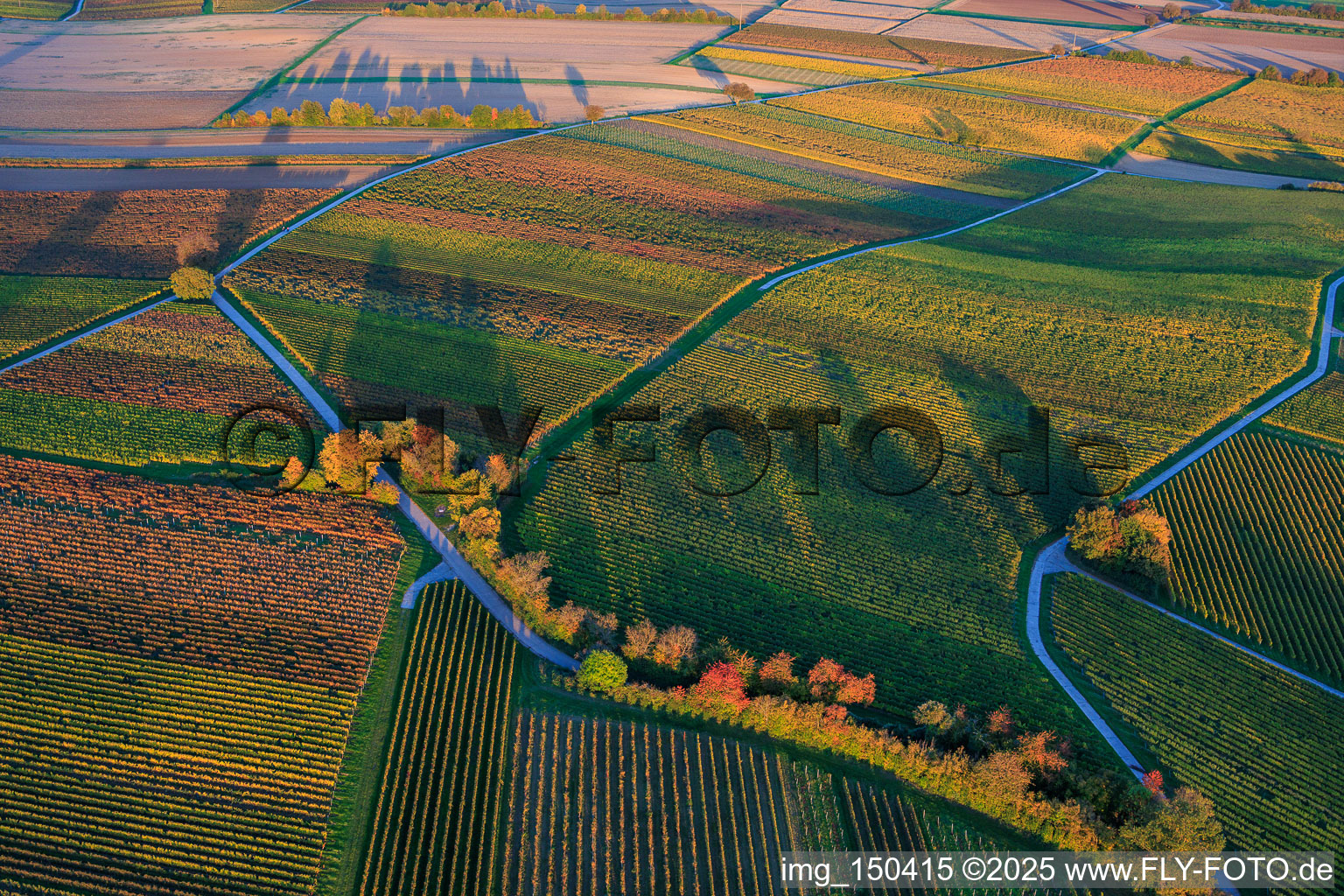 Aerial view of Vineyards ablaze with autumnal colors between Dierbach and Hergersweiler in Dierbach in the state Rhineland-Palatinate, Germany